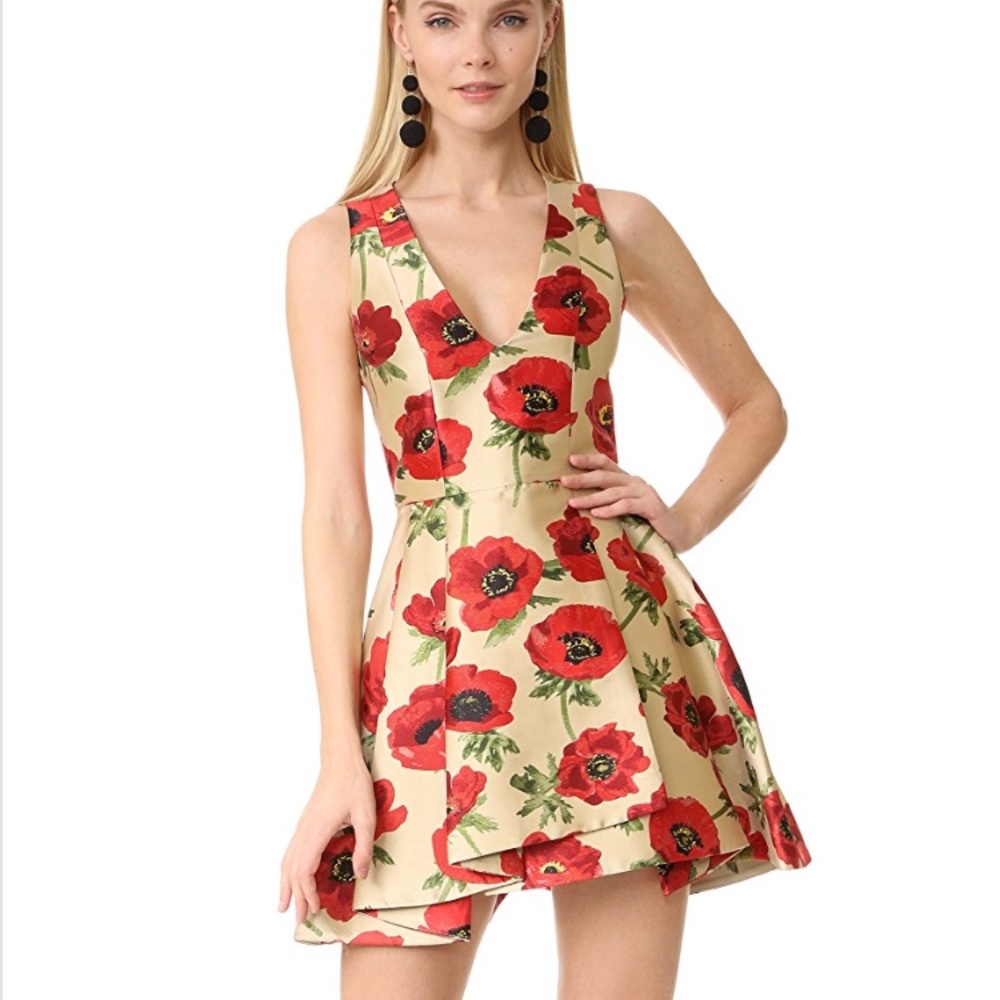 Alice and Olivia Tanner asymmetric dress.